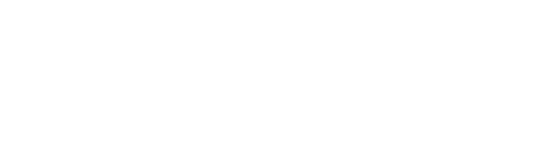 Website White Logo